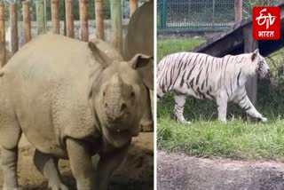 अशफाक उल्ला खान चिड़ियाघर