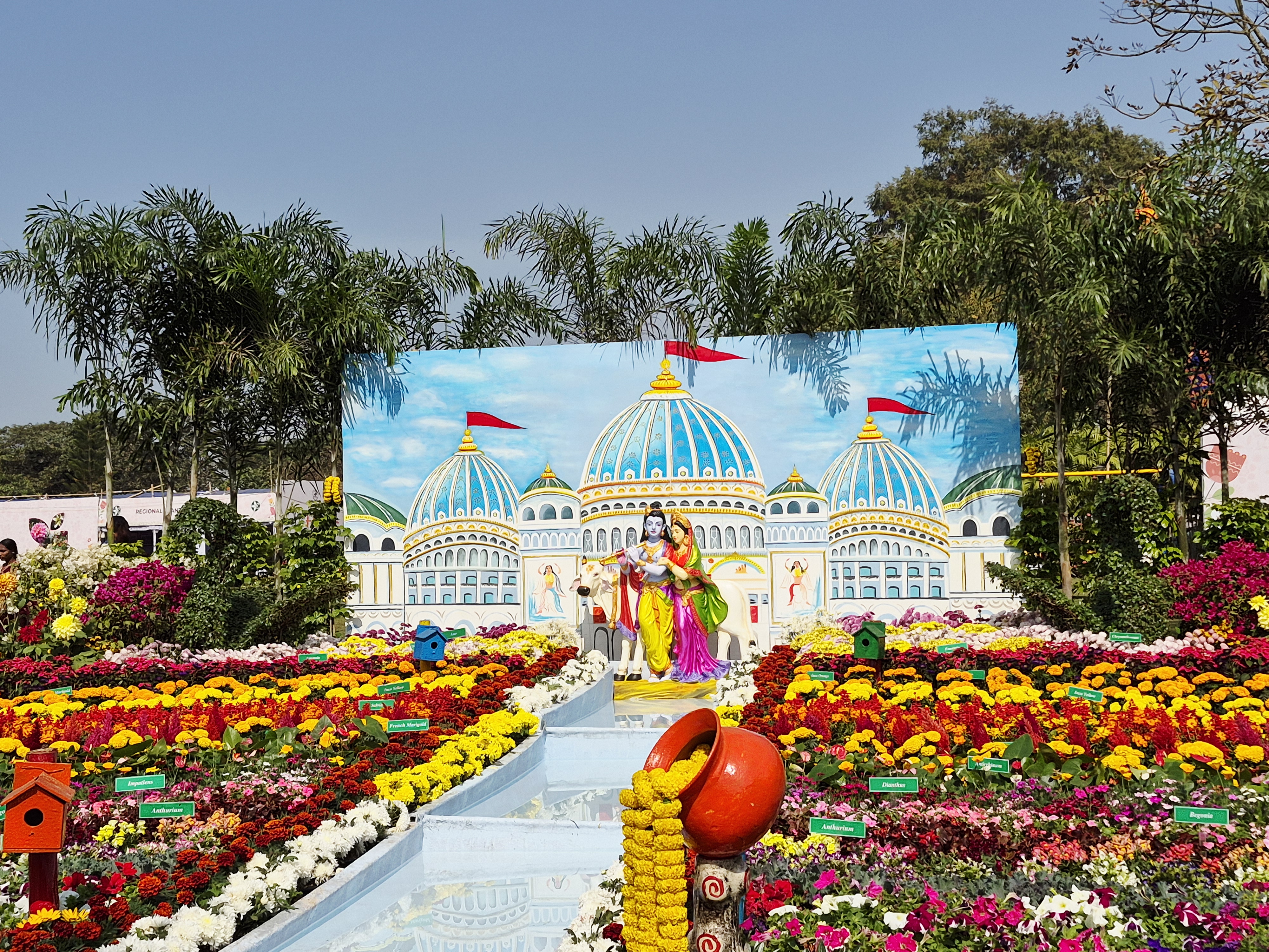 ପ୍ରଦର୍ଶନୀରେ ଗୋଟିଏ ସ୍ଥାନରେ ଥିଲା ଭଳିକି ଫୁଲର ସମ୍ଭାର ।