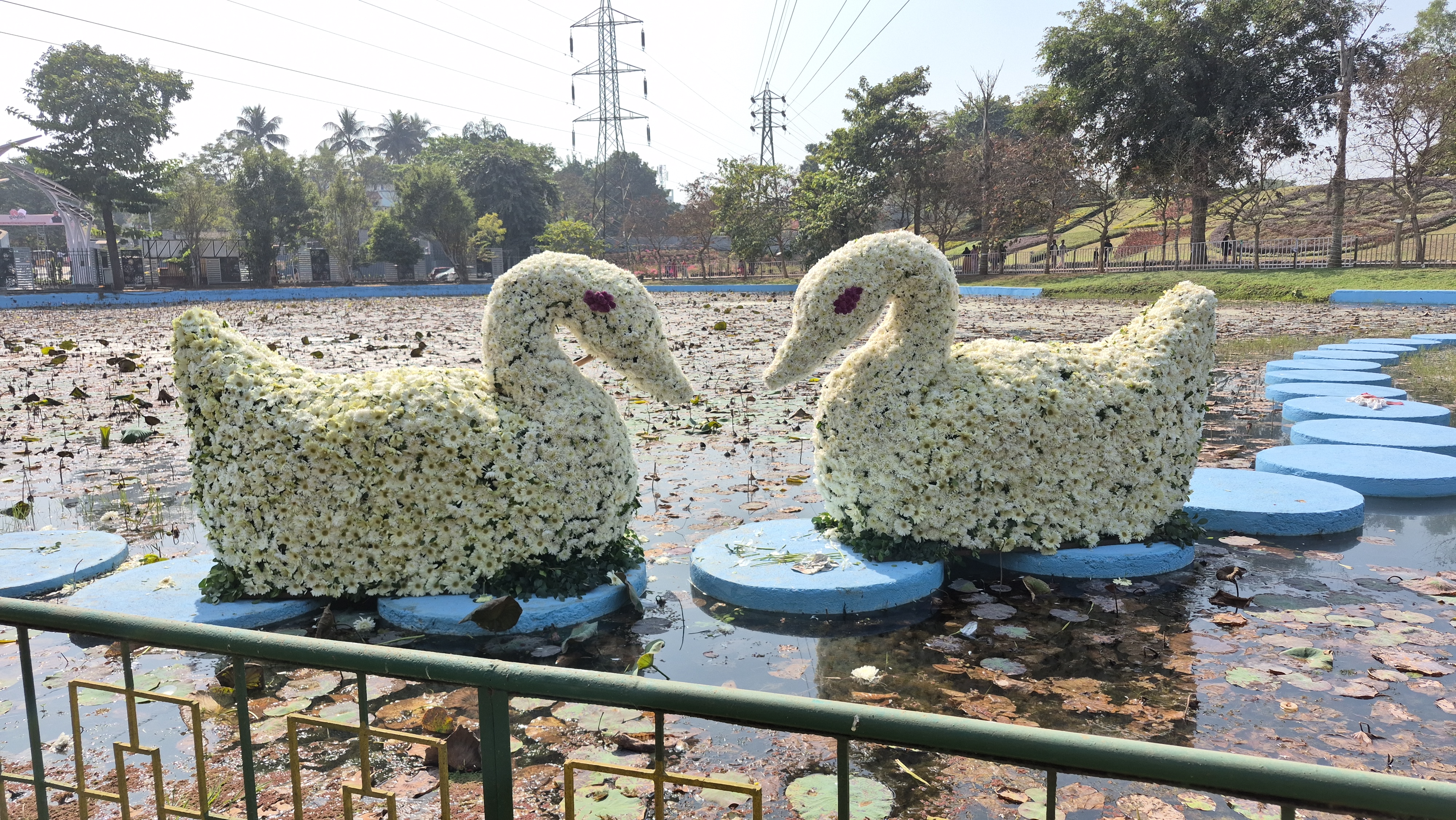 ଶୁକ୍ରବାରଠାରୁ ଆରମ୍ଭ ହୋଇଥିବା ବେଳେ ରବିବାର ଯାଏଁ ତିନିଦିନ ଧରି ଏହି ପୁଷ୍ପ ପ୍ରଦର୍ଶନି ଚାଲିବ।