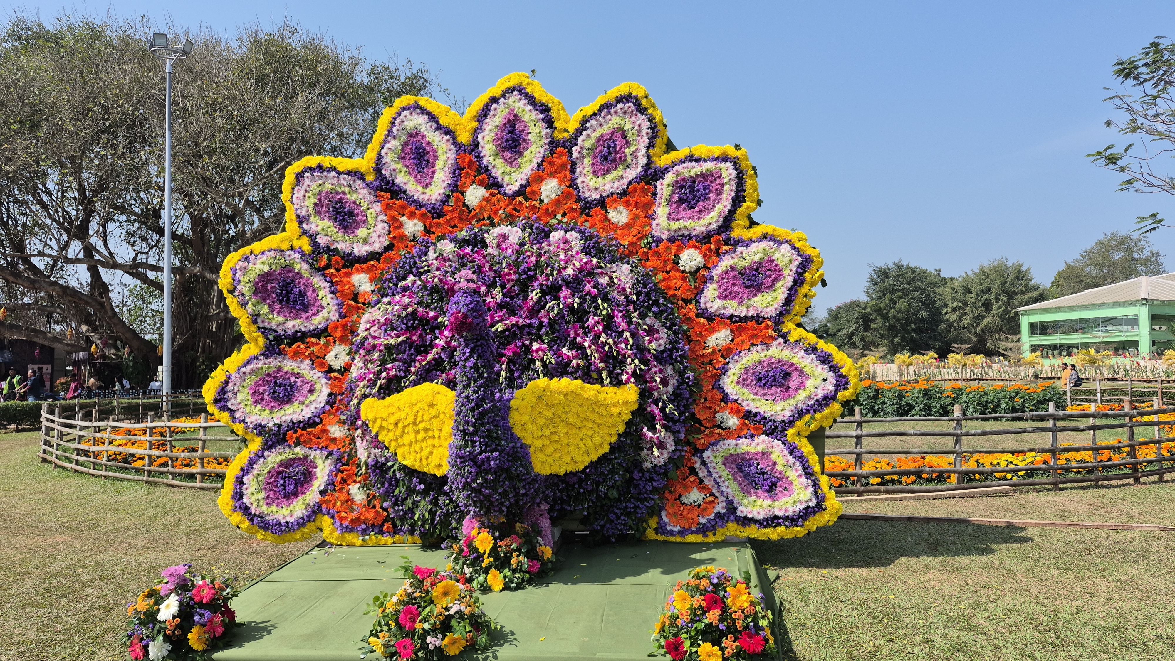 ଲିଲିୟମ, ସାଲଭିୟା, ଅର୍ଚିଡ଼, ସେବତୀ, ଡାଳିଆ ସାଙ୍ଗକୁ ଜାରବେରା, ଗେଣ୍ଡୁ, ଗୋଲାପ ଠାରୁ ଆରମ୍ଭ କରି ବିଭିନ୍ନ ବିଦେଶୀ ଫୁଲରେ ସଜେଇ ହୋଇଥିଲା ପୁଷ୍ପ ପ୍ରଦର୍ଶନୀ ।