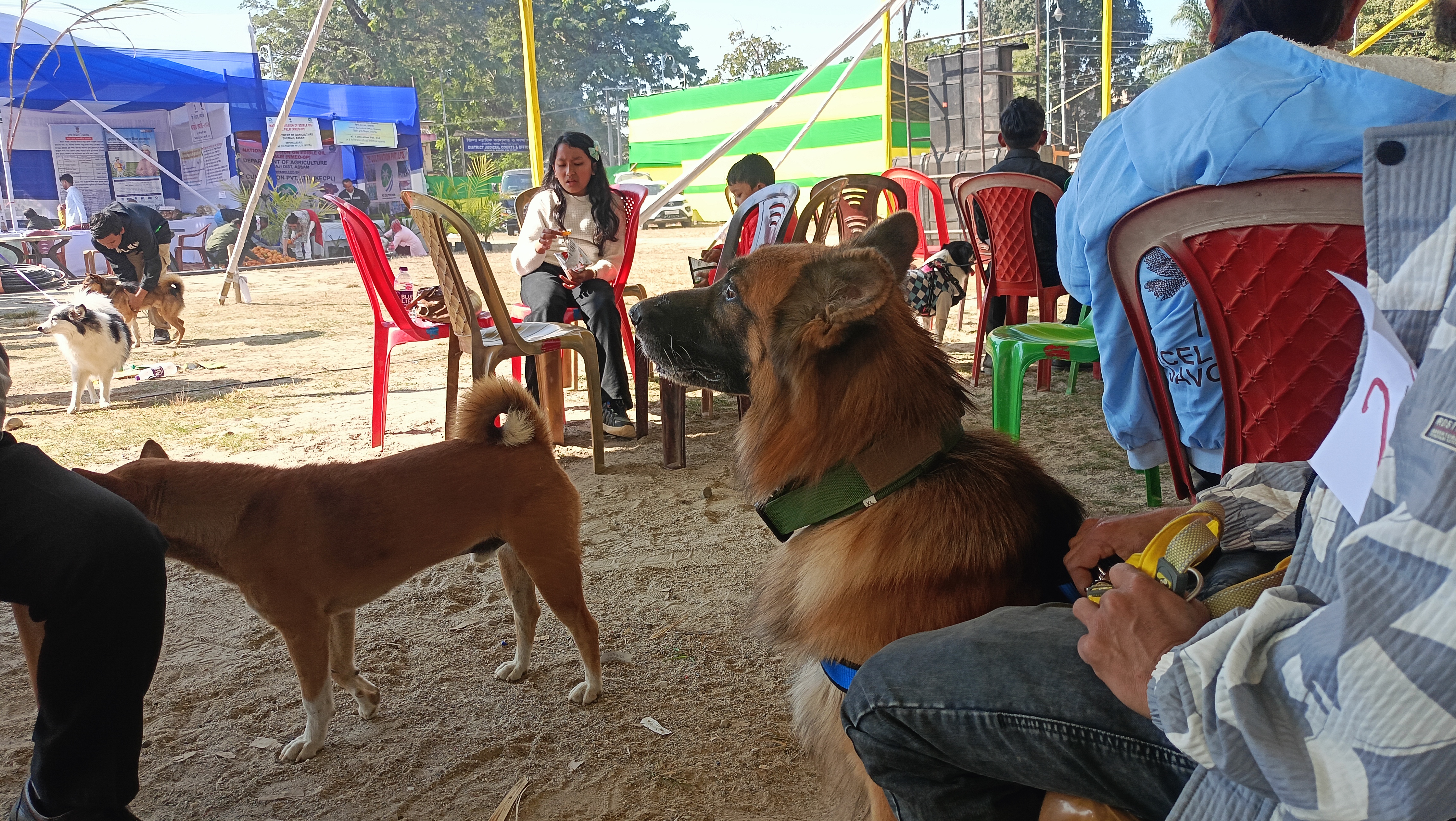 Dog Show in Dhemaji