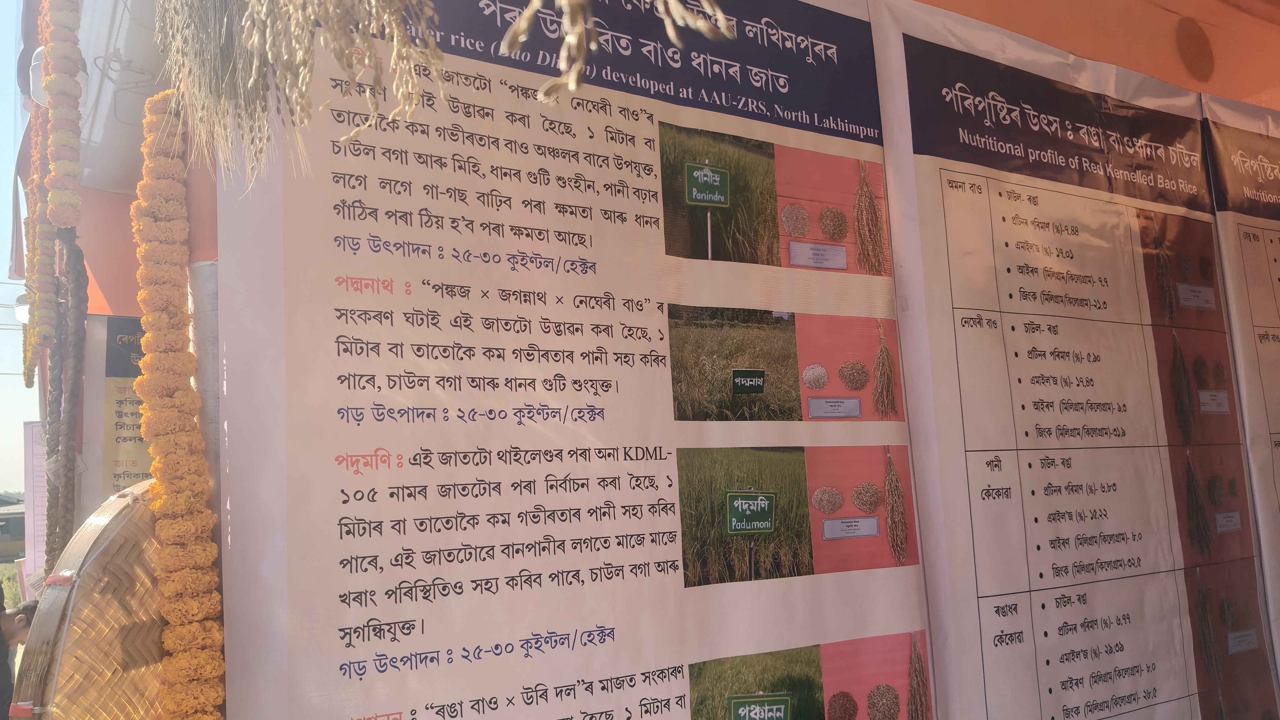 Jorhat Mega Farmers fair