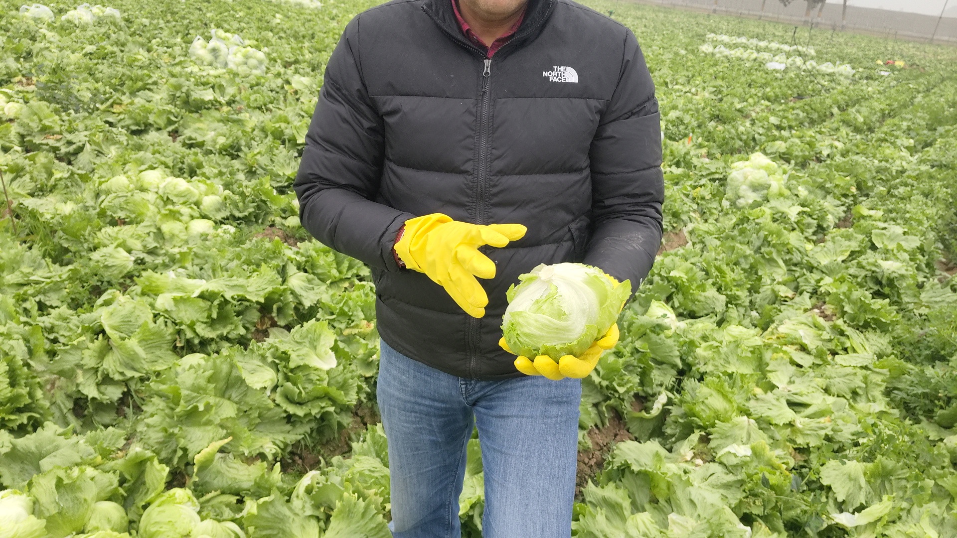 Success Story Kurukshetra Binwant Singh quit job of Rs 18 lakh