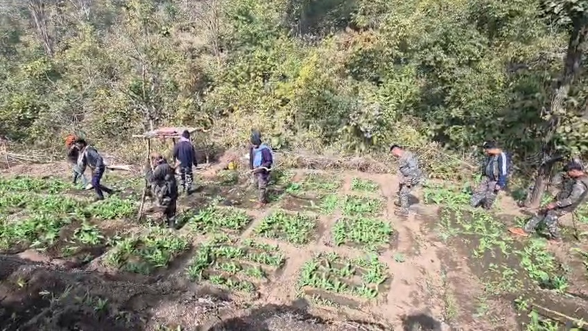 Opium crops destroyed through drones in Hazaribag