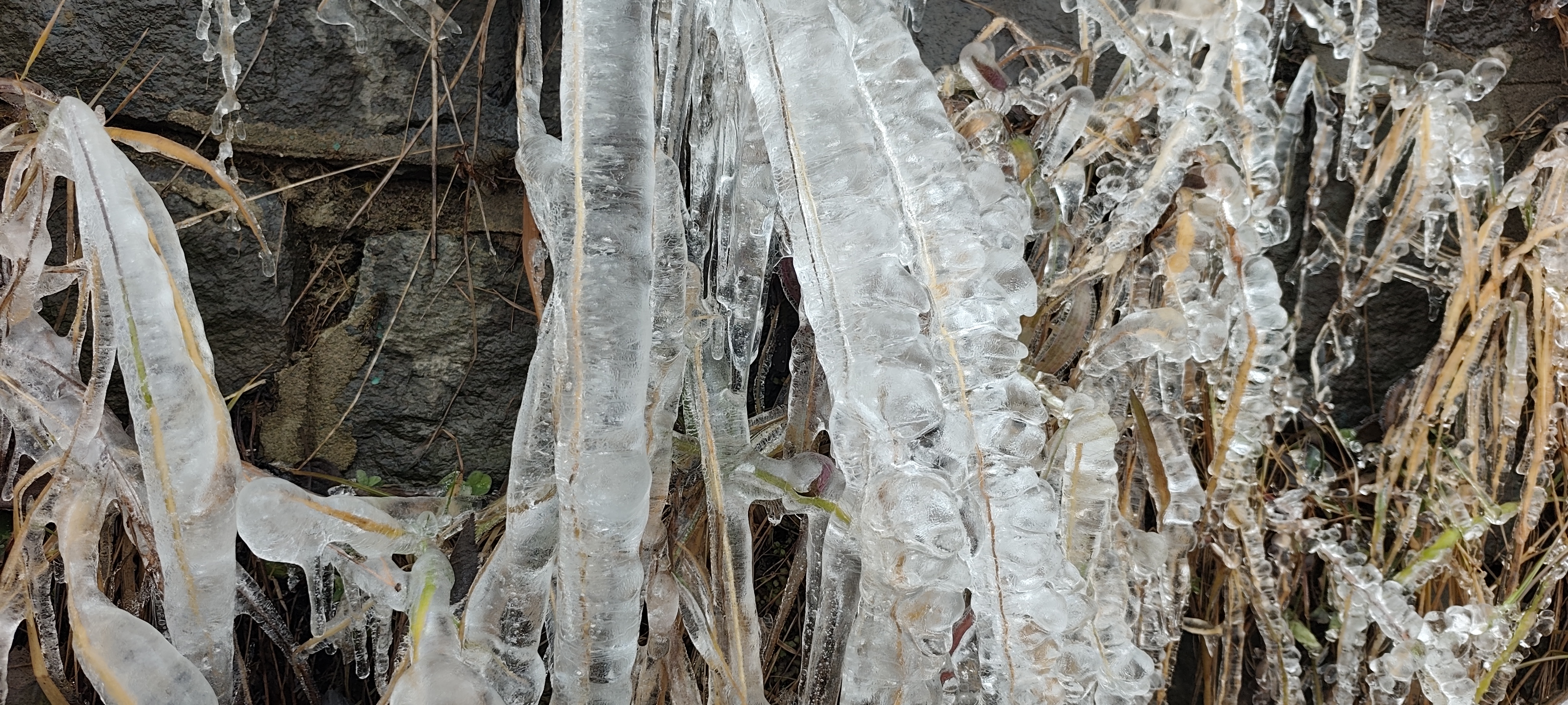 کشمیر میں مسلسل خشک موسم سے کسان پریشان