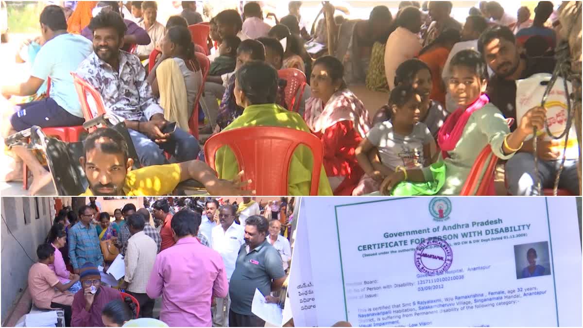 సదరం సర్టిఫికెట్ల రీవెరిఫికేషన్ - అనర్హులపై చర్యలకు సిద్ధం
