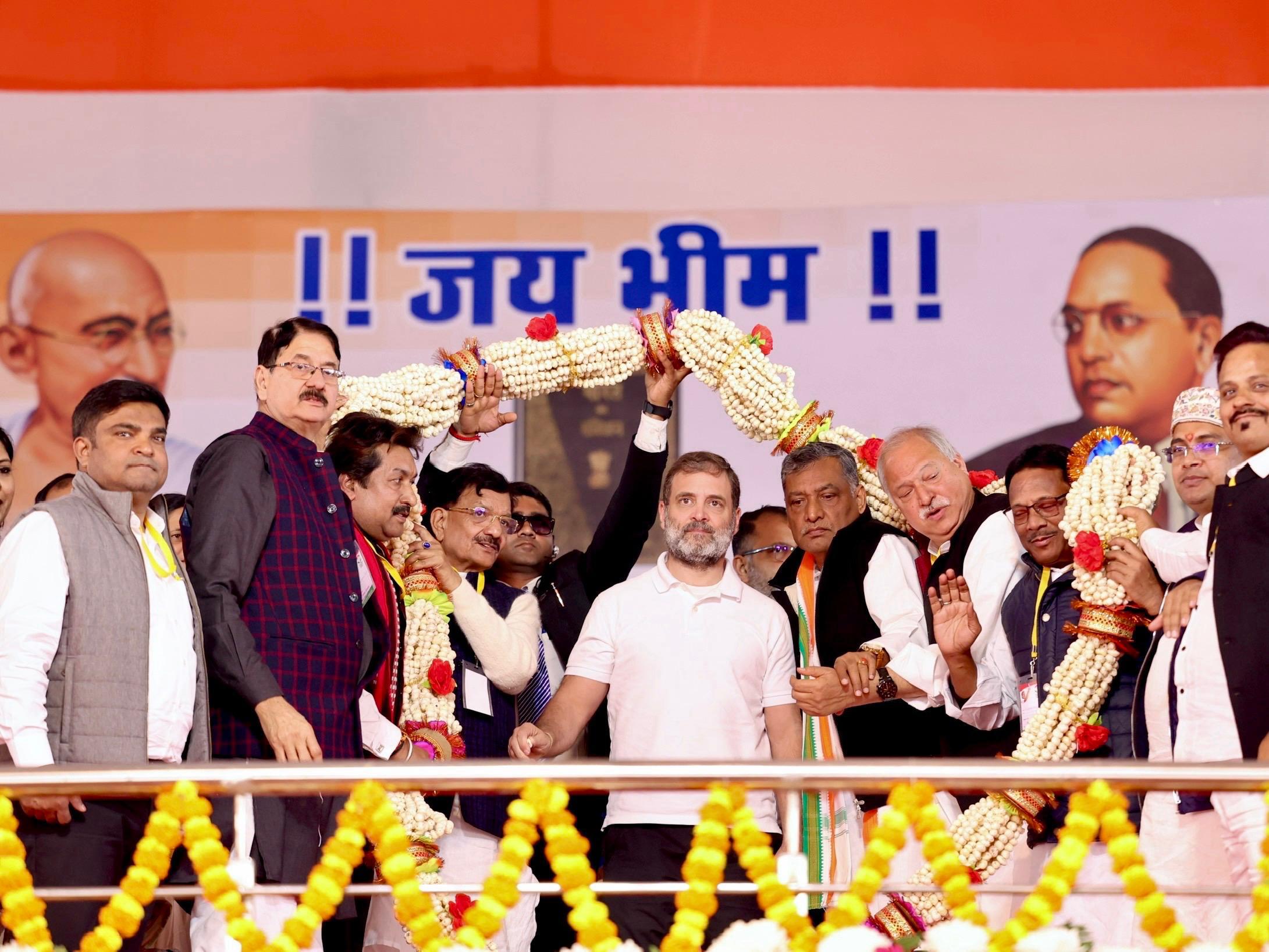 राहुल गांधी, सांसद