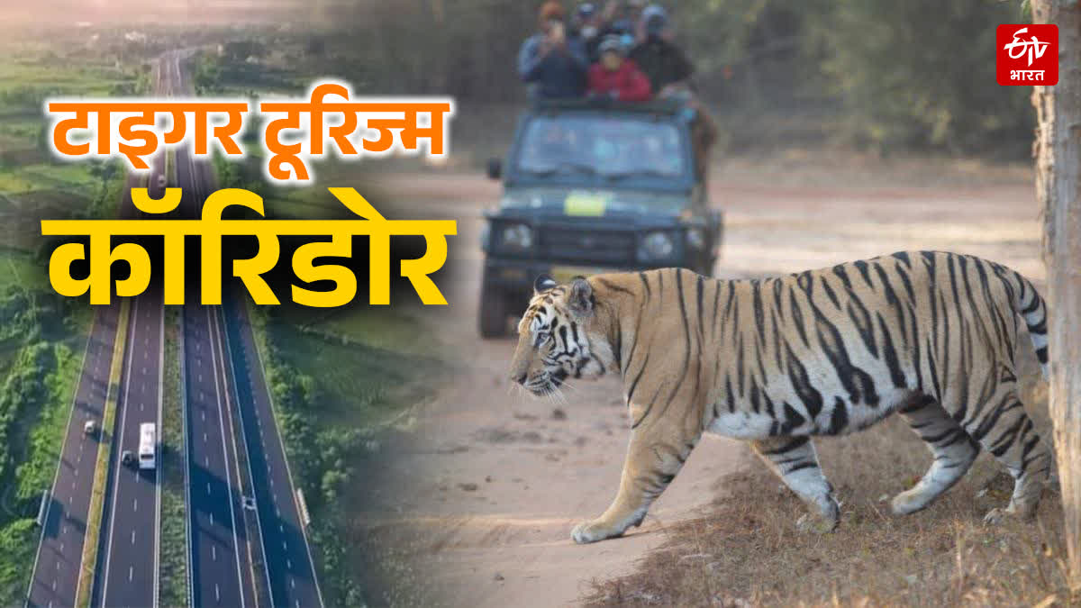 CENTRAL INDIA TIGER CORRIDOR