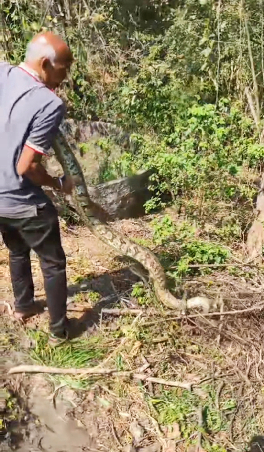 Python causes panic