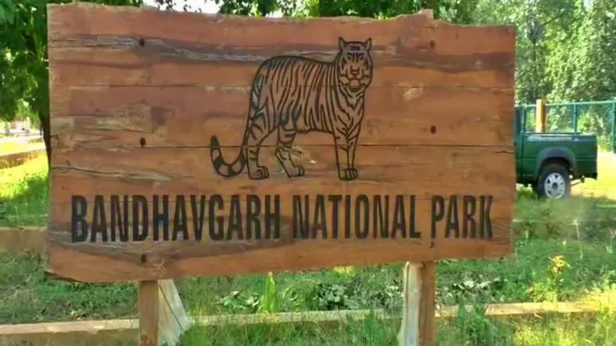 MP TIGER CONSERVATION PROMOTING