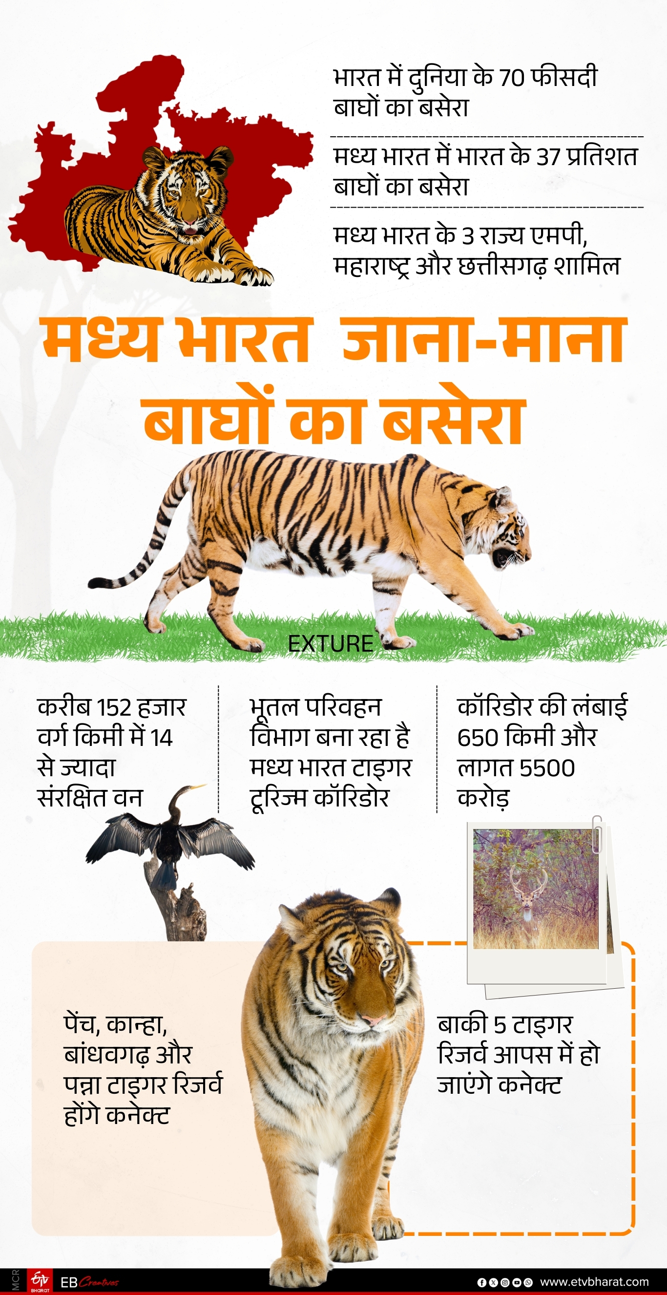 MP PROMOTING WILDLIFE TOURISM