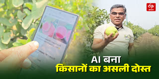 AI बना एग्रीकल्चरल एडवाइजर