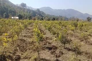 Farmers allegations on Shiva Cluster project