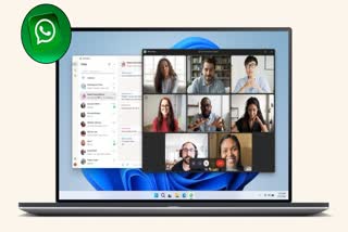 WHATSAPP WEB  ROLLING OUT  WABETAINFO  WHATSAPP WEB BETA PROGRAMME