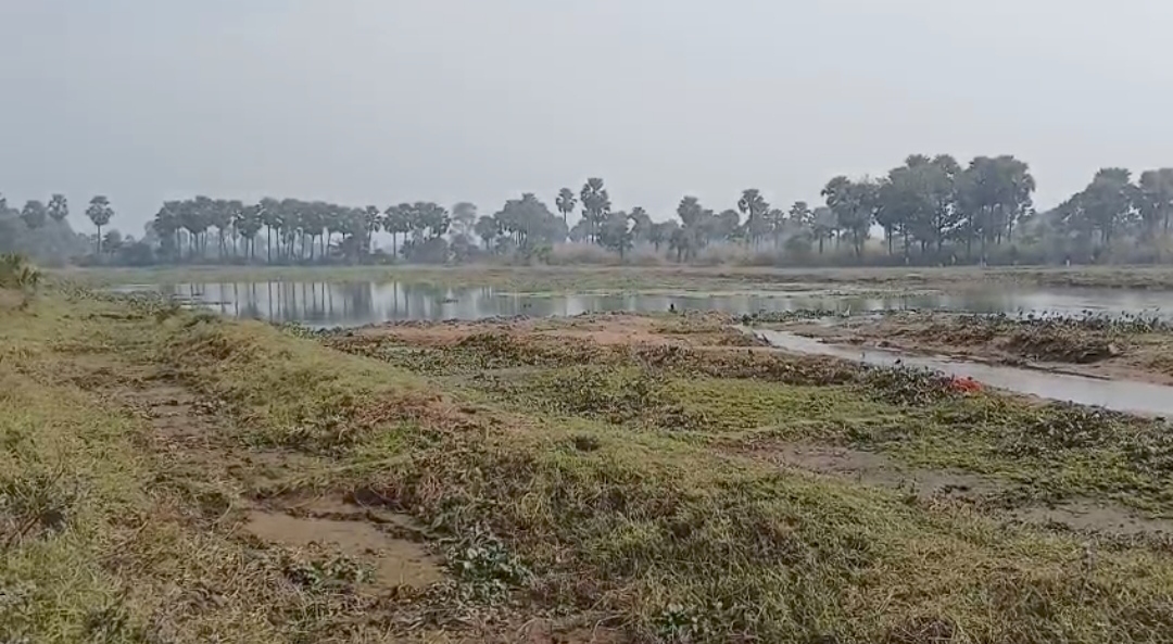 Four girls killed herself