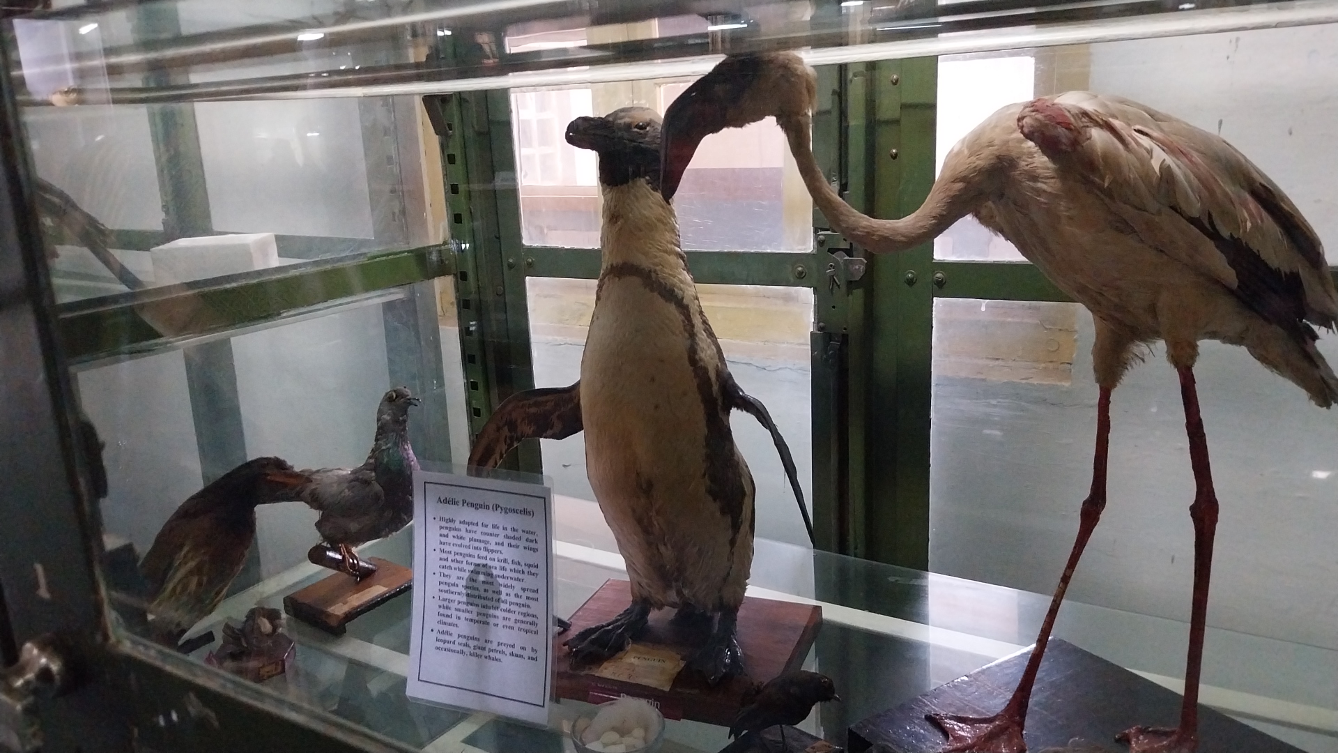 Jabalpur Science Museum Artifacts