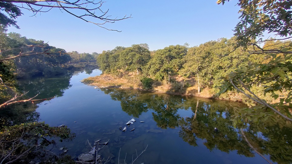 MP 4 TIGER RESERVE CONNECT FOURLANE