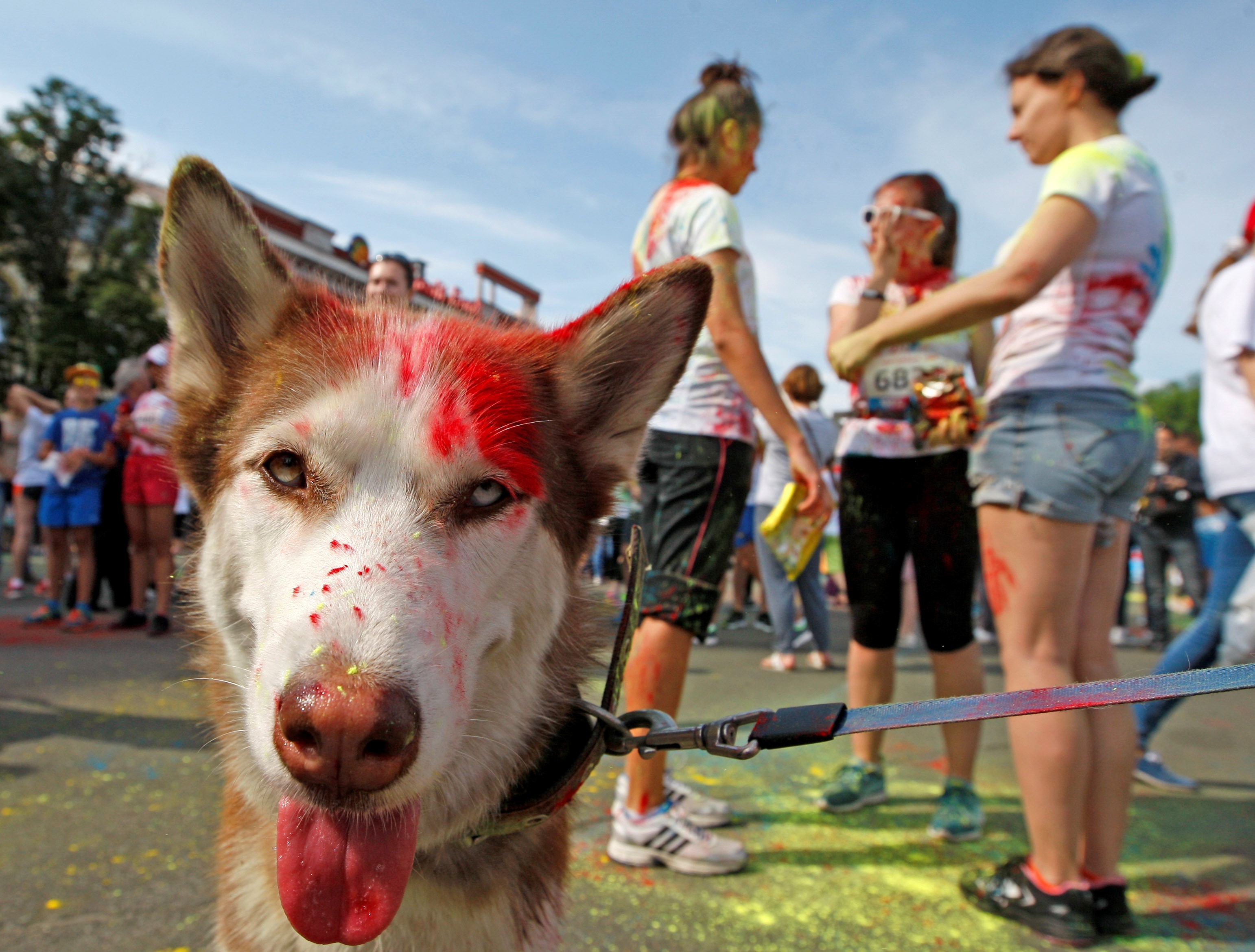 Colours can cause irritation, and skin issues