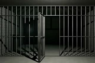 عدالت کے ریڈر کی غلطی سے  ایک شخص کو مزید 12 دن جیل میں گزارنے پڑے، ہائی کورٹ ناراض