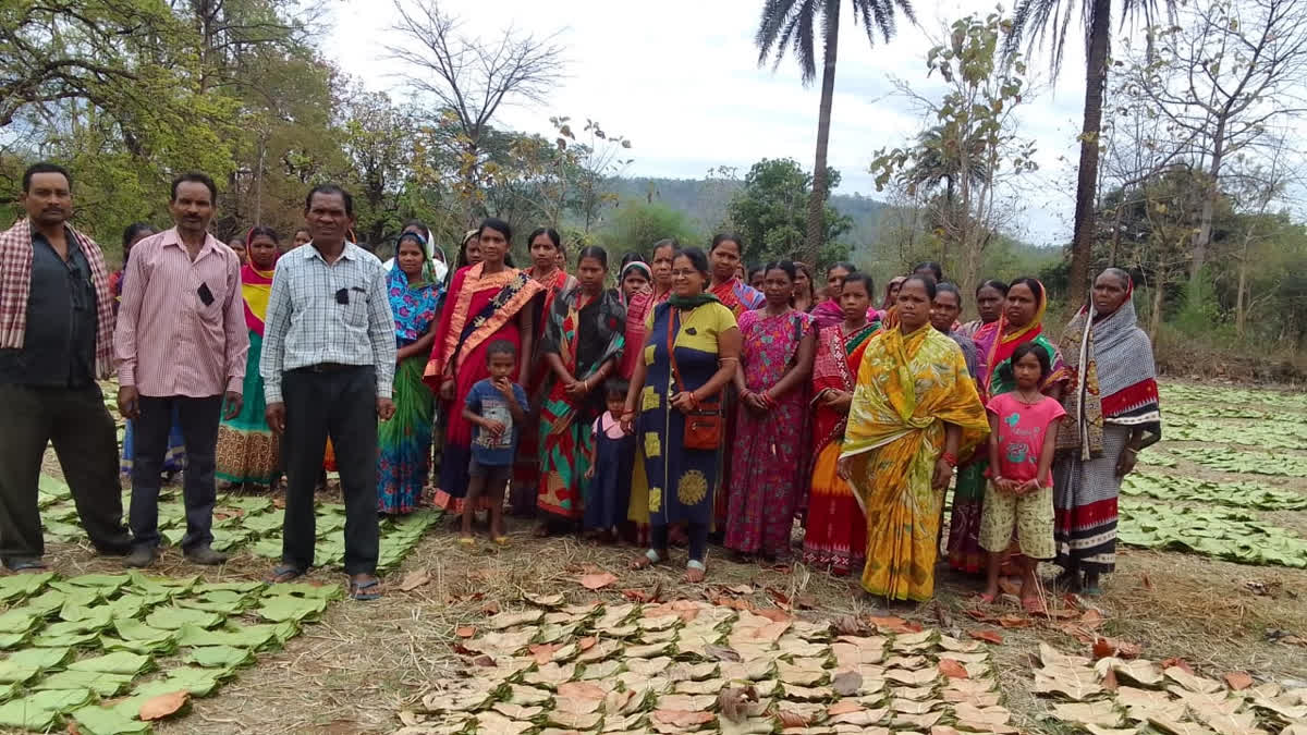 GST Impact On Kendu Leaf Workers