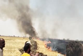 SHIVPURI Massive fire IN fields