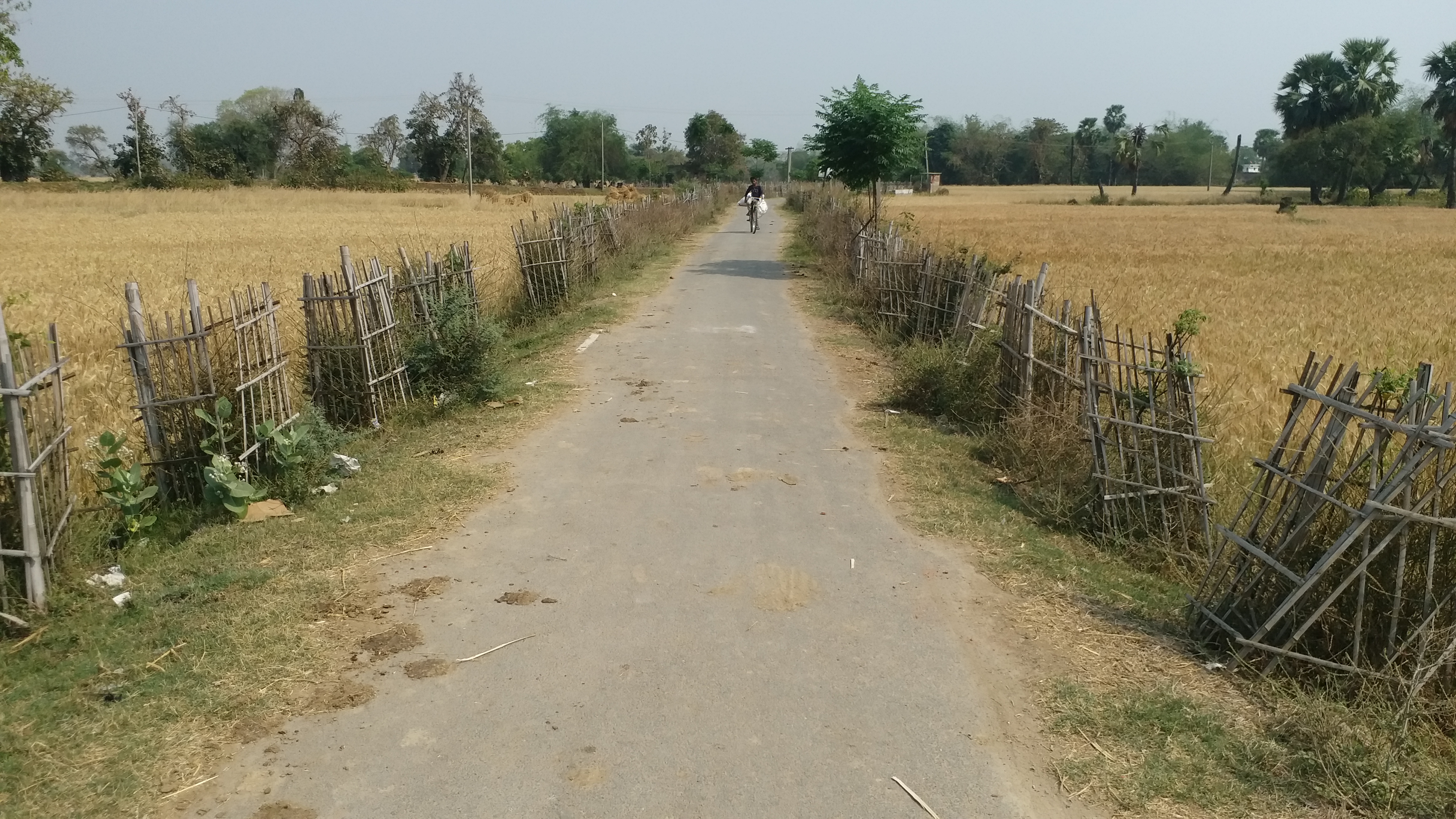 bankat village of gaya no fir has been registered here in 111 years