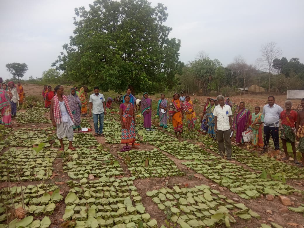 Kendu Leaf Tax Exemption Demand