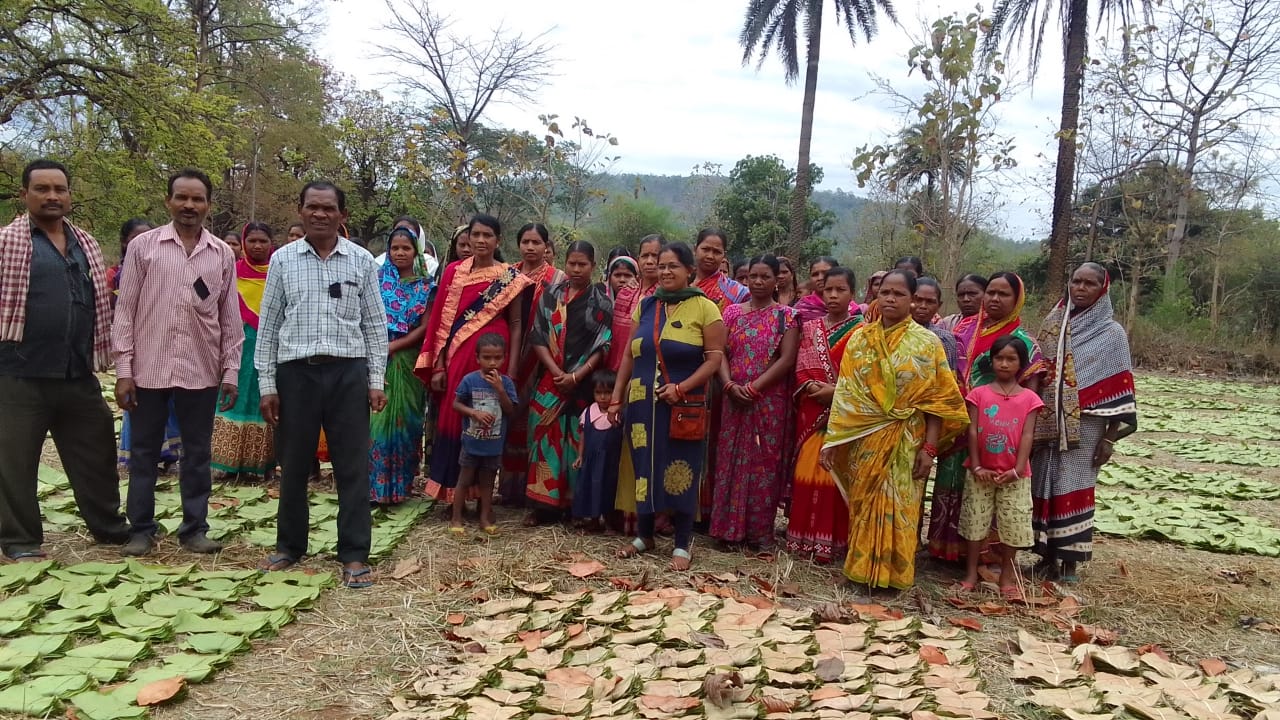 kendu  leaf  pluckers affected by GST