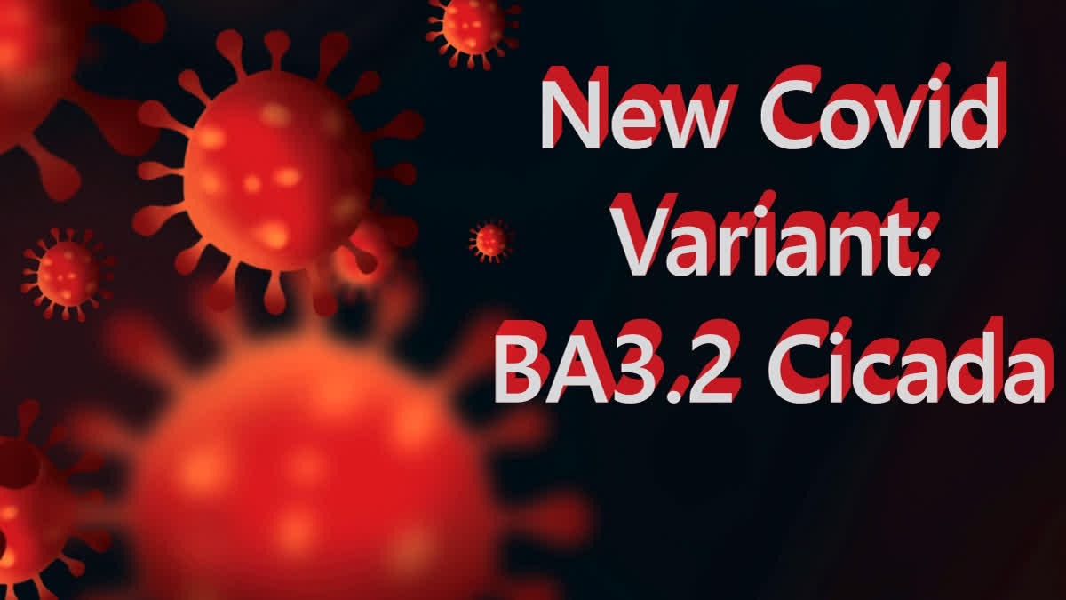New Covid variant