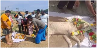 LAST RITES TO DOG