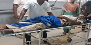 Forest guard critically injured in elephant attack at angul