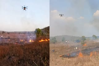 FOREST FIRE MANAGEMENT TECHNIQUES