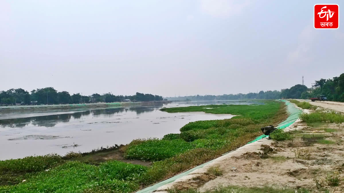 beautification on both sides of the Mora Bharali River