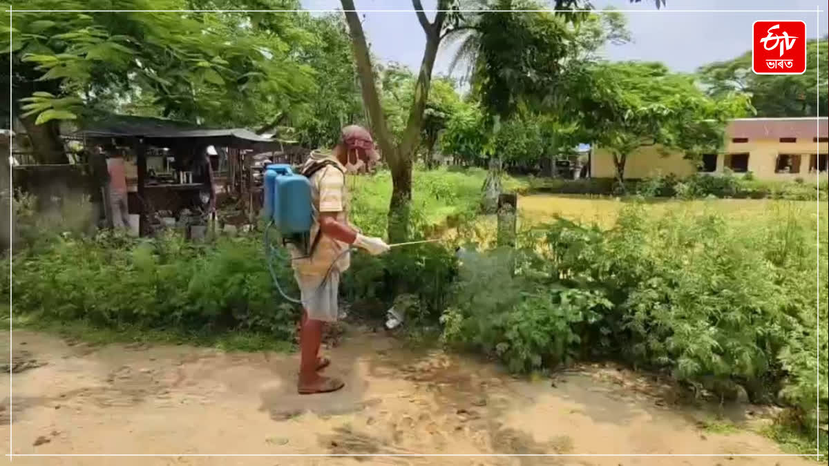 awareness on Parthenium