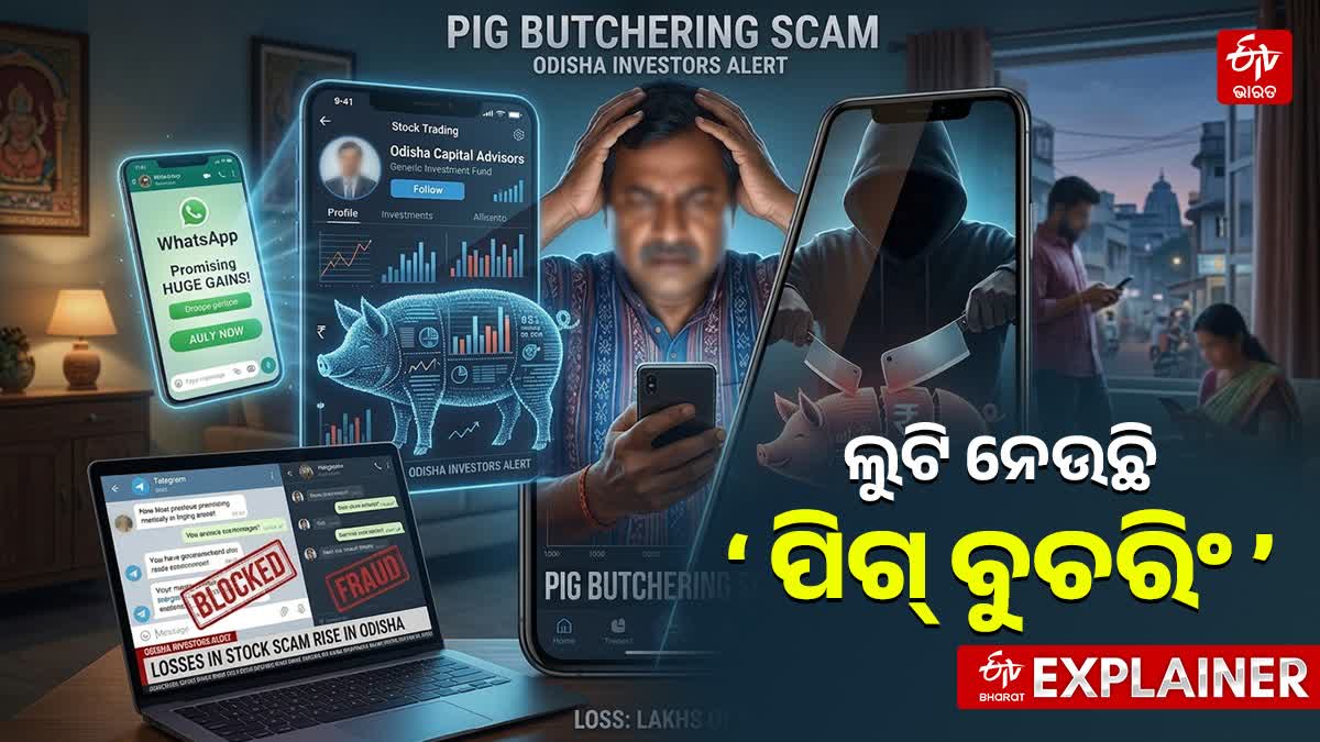 pig butchering scams in odisha