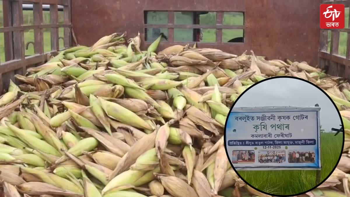Majuli News