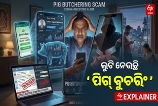 pig butchering scams in odisha