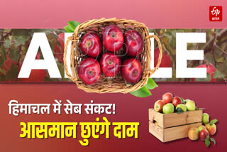 Apple production in Himachal