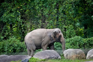 Kerala