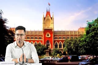 'There Should Be A Limit To Everything': Calcutta HC Asks Abhishek Banerjee To Provide Voice Sample In 'DJ Remark' Case