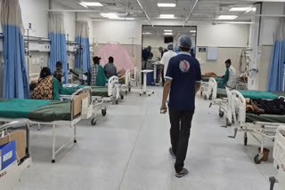 chandipura virus