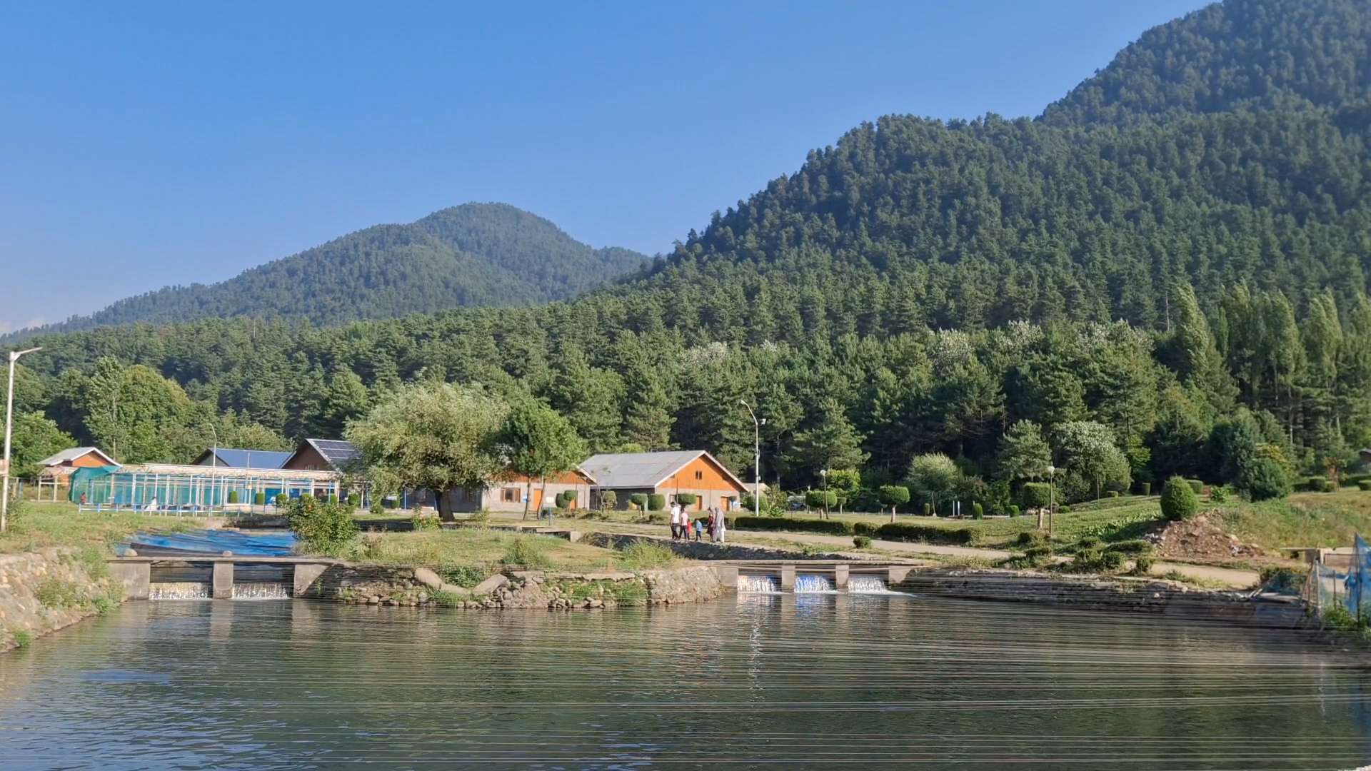 کوکرناگ ٹراؤٹ فشریز فارم