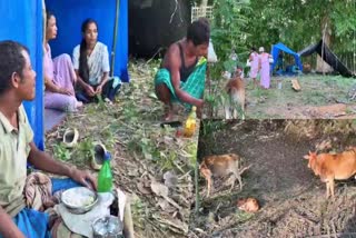/excess-water-released-from-doyang-dam-causes-flood-in-golaghat