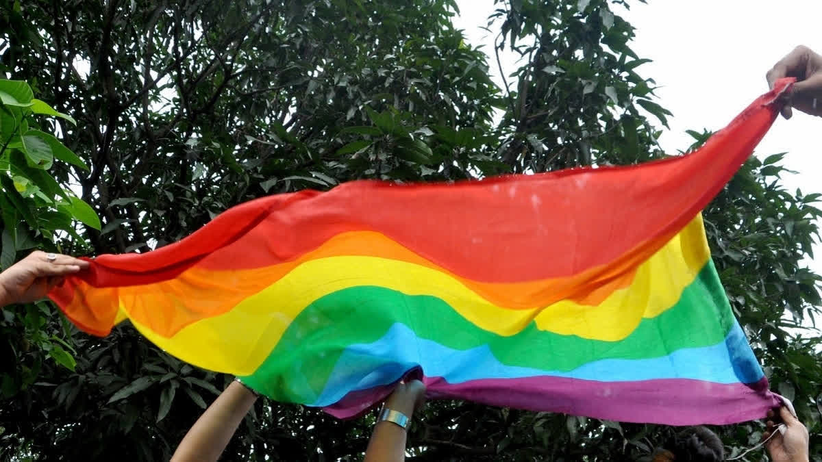 Nepal's LGBTQ Community Observes Traditional Gaijatra Festival Nepal's LGBTQ Community Observes Traditional Gaijatra Festival