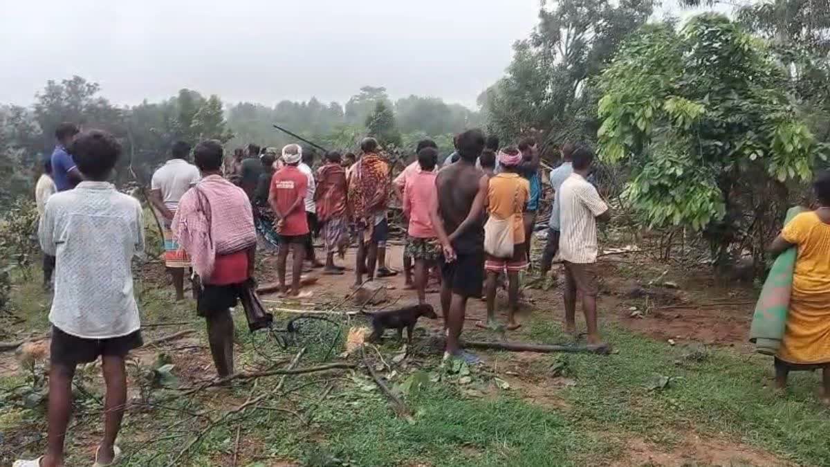 Elephant Attack In Jashpur