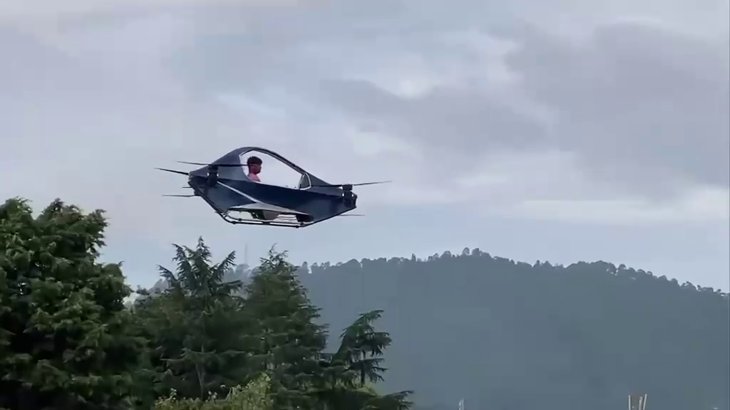 Flying Vehicle