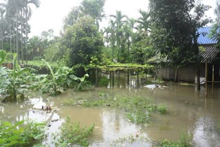 ASSAM FLOOD 2026