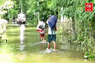 Assam Floods 2026: Families in Jorhat Face an Extremely Difficult Choice