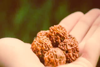 Do you know about the different types of Rudraksha and their benefits?