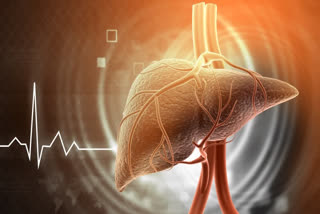 If you start noticing these symptoms in your body, consult a doctor immediately and get a liver test done.